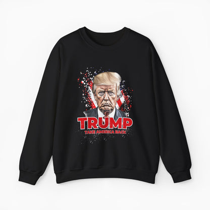 Take America Back Sweater