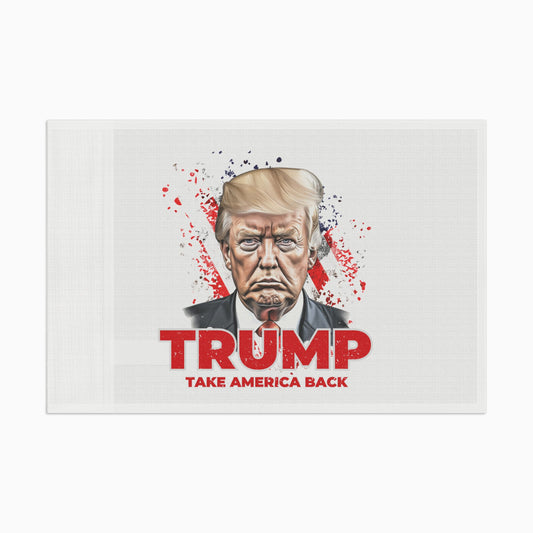 Take America Back FLAG